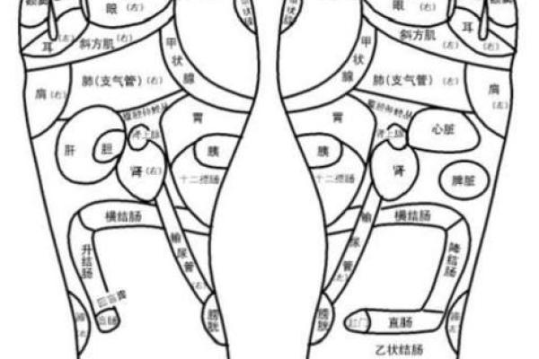女人脚纹算命图解,脚丑的女人的命运