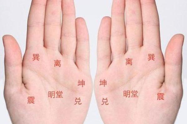 图解：手相棺材纹算命