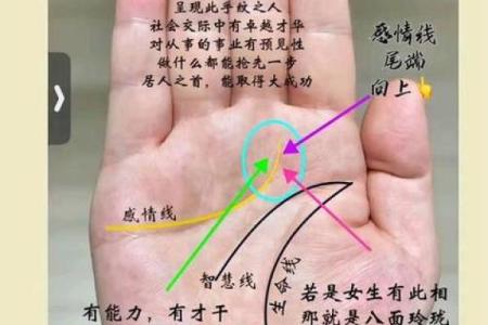 凯帝阿手相算命图解大全06