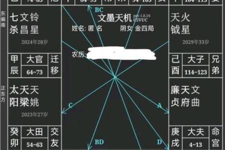 紫薇斗数看配偶姓氏