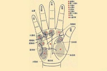图解：手相希望线算命会得到结果