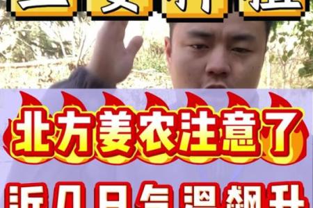 种生姜 风水