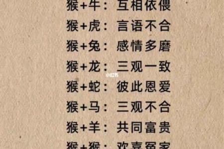 1991年属什么生肖配对