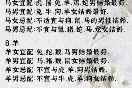 女兔男羊生肖配对姻缘 属兔女与属羊男婚姻配对详解