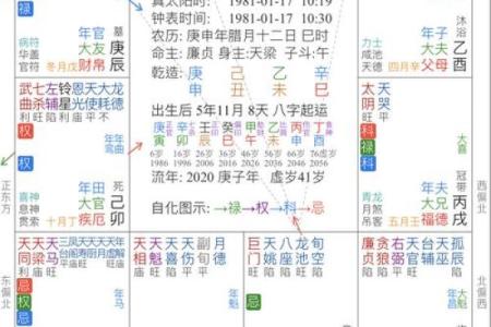 紫薇斗数流年对冲宫