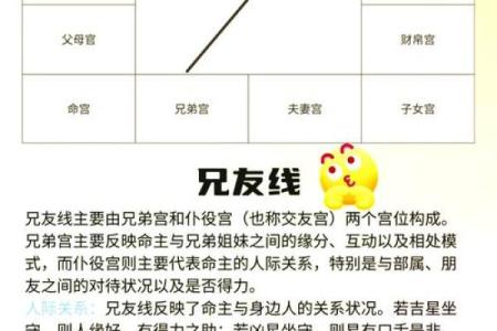 紫薇斗数阴阳相背