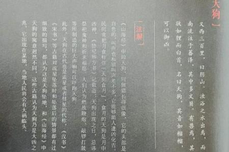 八字天狗：揭秘八字中的天狗神秘力量