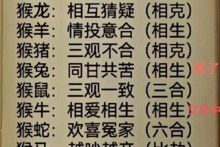 生肖配对：属猴的和什么属相最配