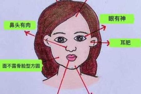 颧骨面相算命