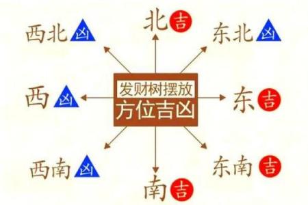 舒服又聚财，这些家居风水要学