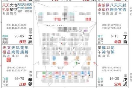 紫薇斗数哪个命格更好