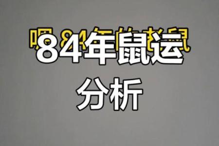 八四年属鼠2024年的吉凶方位