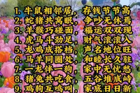 有助男人事业运的生肖配对