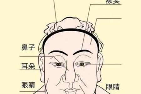 风水面相印堂发亮的女人有财运吗