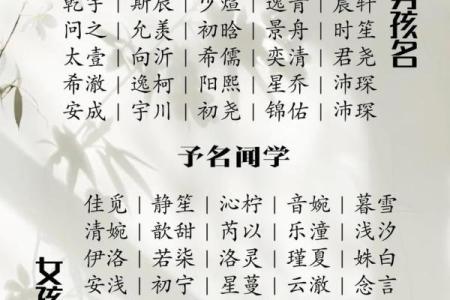 权威可信的国学宝宝起名网站,国学姓名测试打分