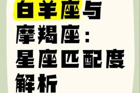 白羊男和摩羯女配对