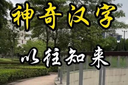 神奇的QQ测字