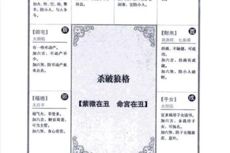 kl紫微斗数 紫微斗数速查表？