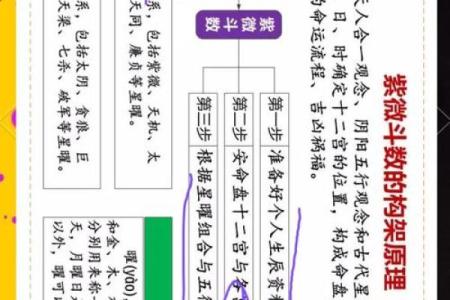 紫薇斗数预测疫情