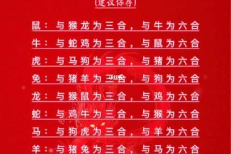 属相配对指数