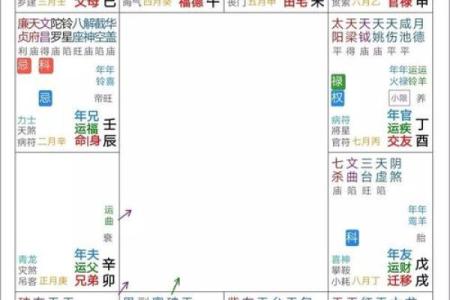 紫薇斗数的命宫是怎么坐的