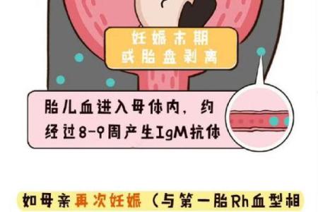 血型不合导致孩子溶血病