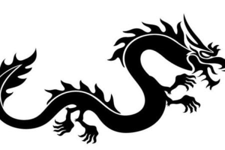 算命先生说儿子是条黑龙