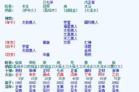 八字从比格