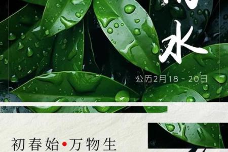 明天雨水，要谨防节气风水禁忌