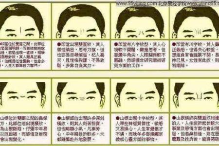 女人脚纹算命图解,脚丑的女人的命运
