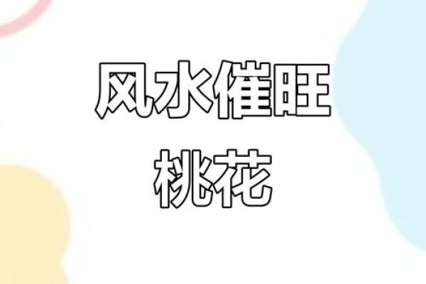 浅谈桃花运，风水不好容易出轨