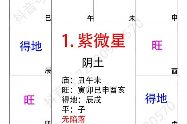 紫薇斗数各宫化