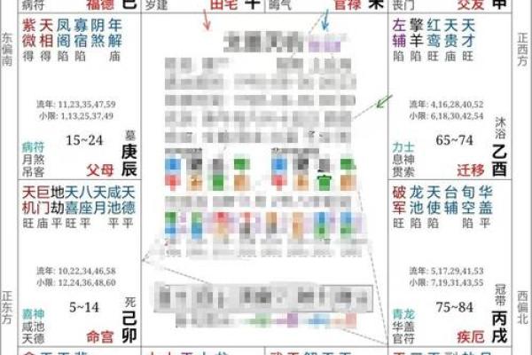 紫薇斗数子由