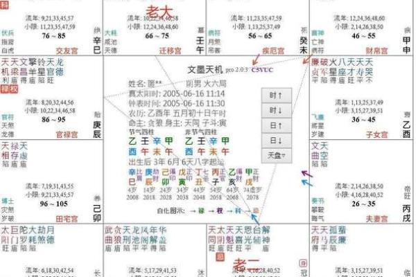 紫薇斗数怎么看主宫