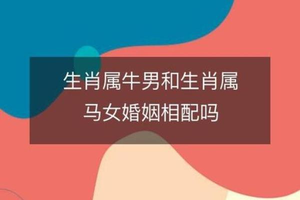生肖马的姻缘配对，哪些生肖最合适？