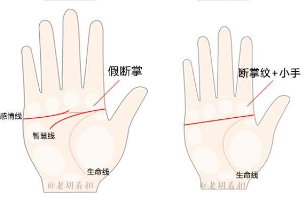 断掌手相算命说法及含义