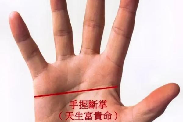 断掌手相算命说法及含义