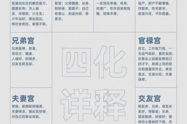 紫薇斗数府相