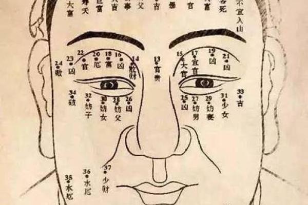 面相解析：从山根看相算命