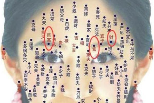 脸上黑痣算命图解吉凶