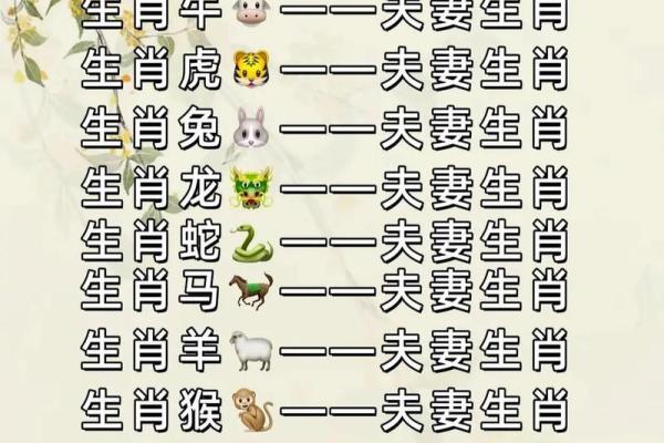 91年属什么生肖配对