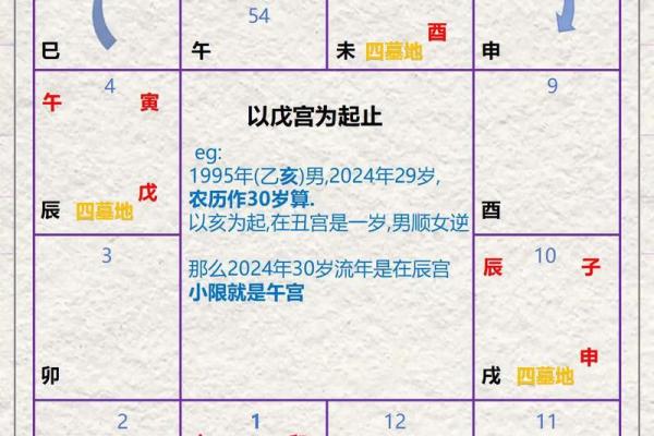 紫薇斗数太岁流年