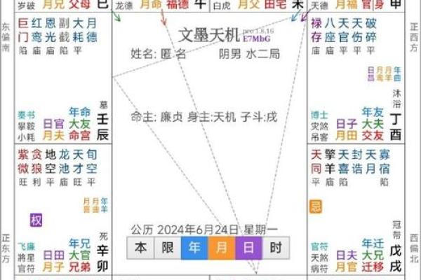 紫薇斗数怎么批命