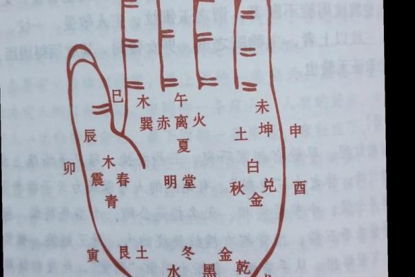 手相图解大全女右手算命 看手相算命图解女性右手