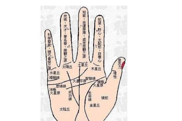 手相图解大全女右手算命 看手相算命图解女性右手