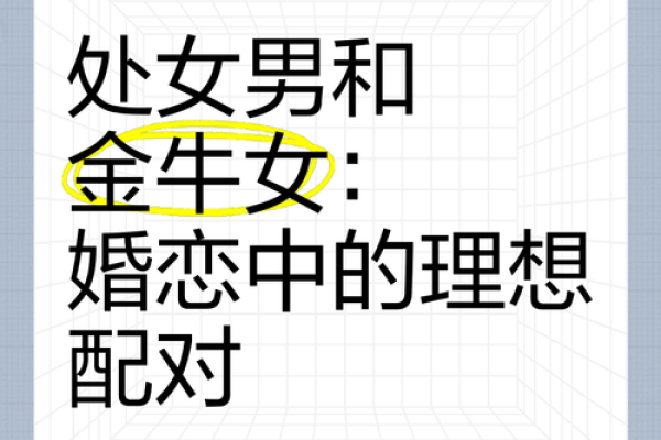 处女座男和什么座最配对,处女座男和什么座最配