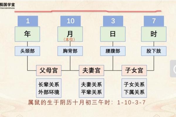 什么八字容易生癌症 何八字易患癌症