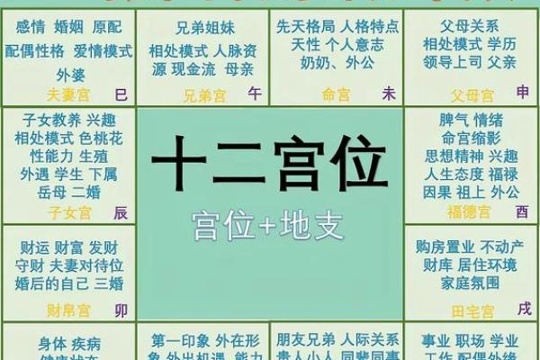 紫微斗数丨紫微斗数基础知识篇