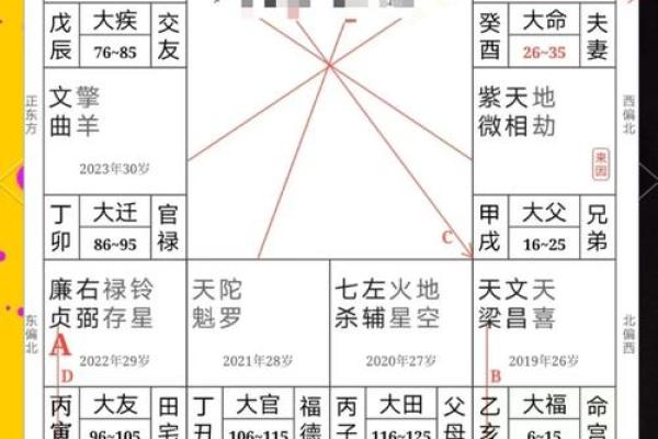 紫薇斗数兄弟代表