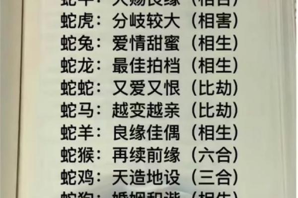 属蛇人配对姻缘